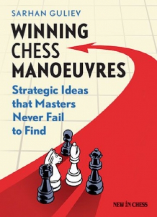 Winning Chess Manoeuvres